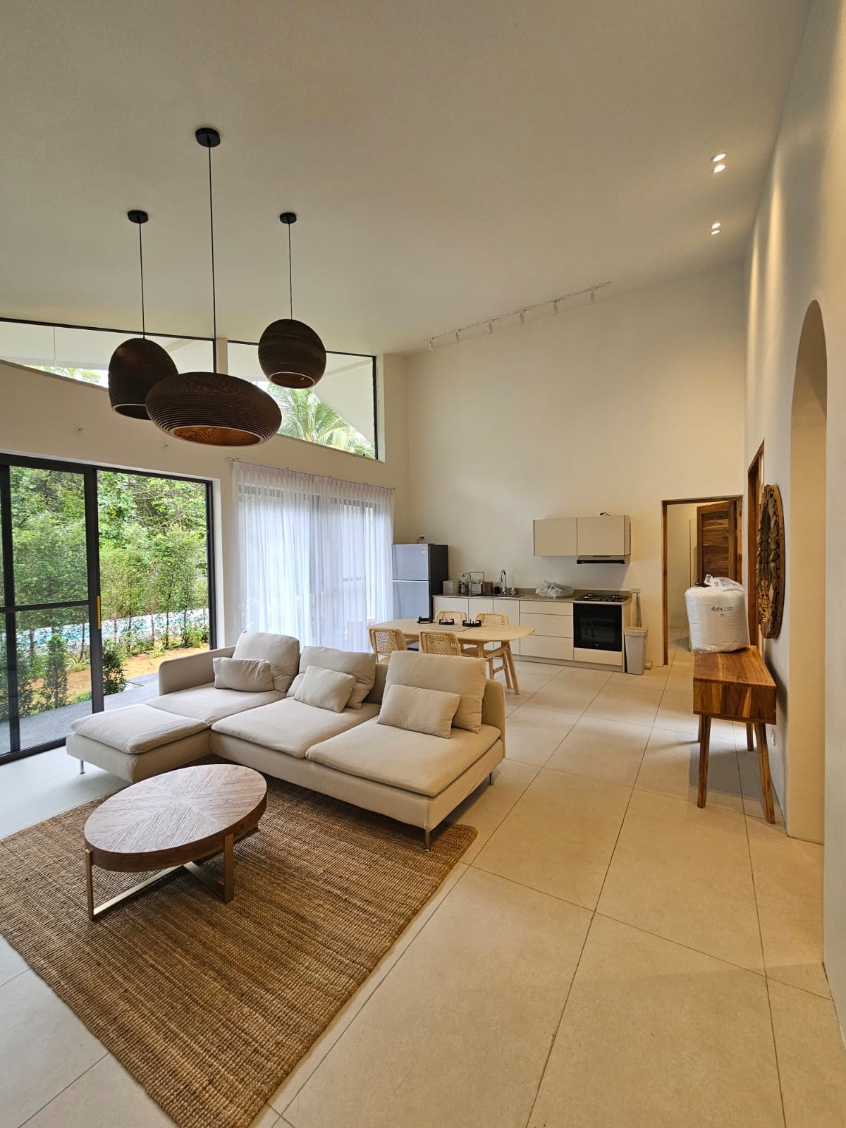 Open-plan living and kitchen